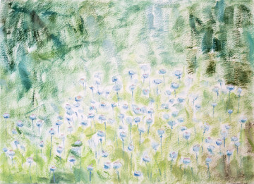 Poppy Free (Dufftown, Scotland) - © Paris Internationale