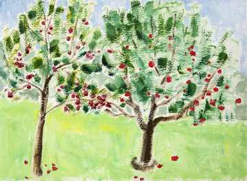 Ripe Apples (Dufftown, Scotland) - © Paris Internationale