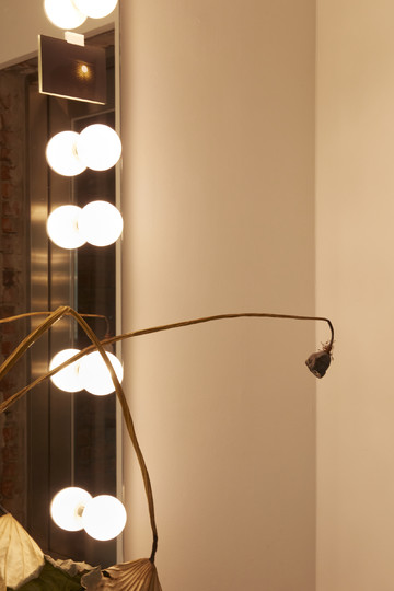 Drei - © Paris Internationale