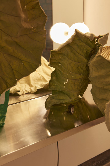 Drei - © Paris Internationale