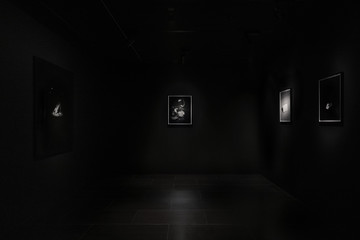 Empty Gallery - © Paris Internationale