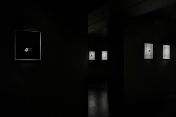 Empty Gallery - © Paris Internationale