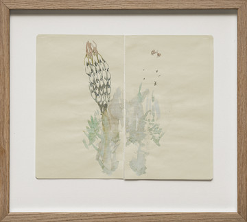 To be part to be many (Field Note/Botanical garden &ndash; Oslo) - © Paris Internationale