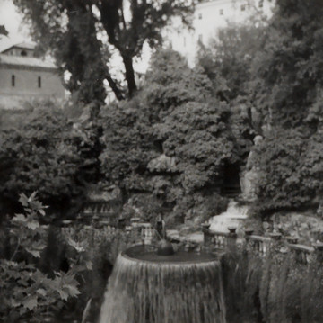 greengrassi - © Paris Internationale