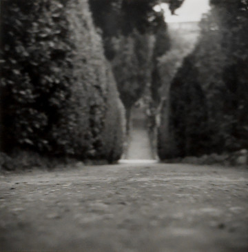 greengrassi - © Paris Internationale