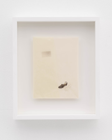 3つのクレーター / three craters - © Paris Internationale