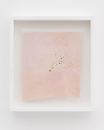 ダルメシアンの先祖達 / ancestors of the Dalmatian - © Paris Internationale