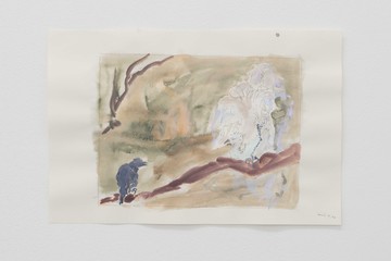 moist forest - © Paris Internationale