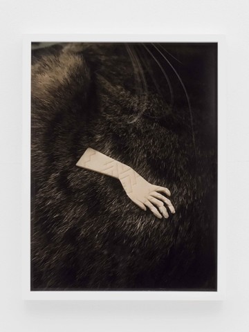 sun bath - © Paris Internationale