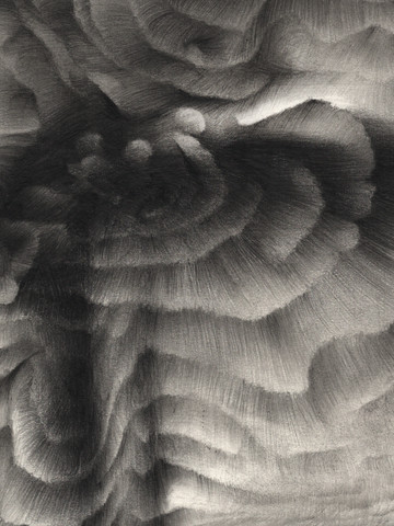 Theater Of A Thousand Searchable Planets, 2023 - © Paris Internationale