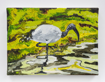 Ibis ii - © Paris Internationale