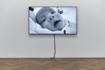 Phung-Tien Phan, Toni 3, 2023, installation view, in: Phung-Tien Phan, Kartoffel, Kunsthalle Basel - © Photo: Philipp H&auml;nger, Paris Internationale