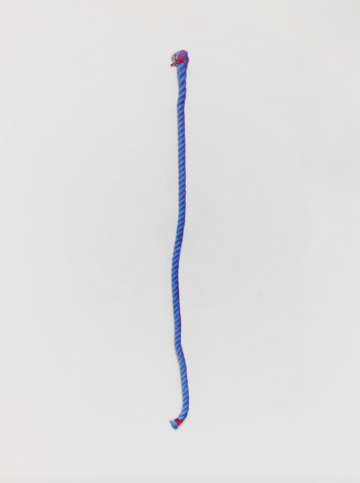 across sunlight dances the whole - © Paris Internationale