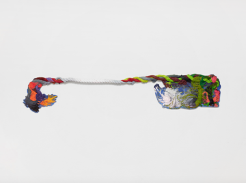 branches to rope breeze dusk - © Paris Internationale