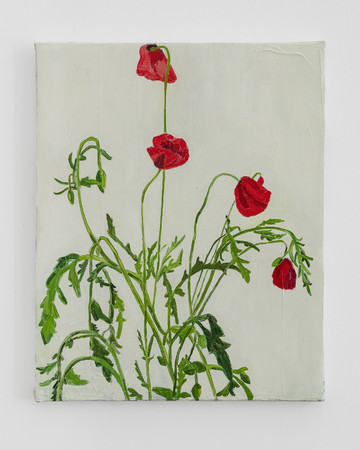 Wild Poppies near Piazza Puccini - © Paris Internationale