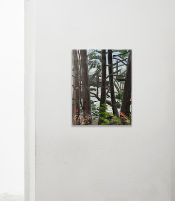 Yurok Loop Trail near Wilson&rsquo;s Creek Beach, May 19 2023 - © Paris Internationale