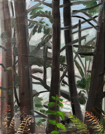 Yurok Loop Trail near Wilson&rsquo;s Creek Beach, May 19 2023 - © Paris Internationale