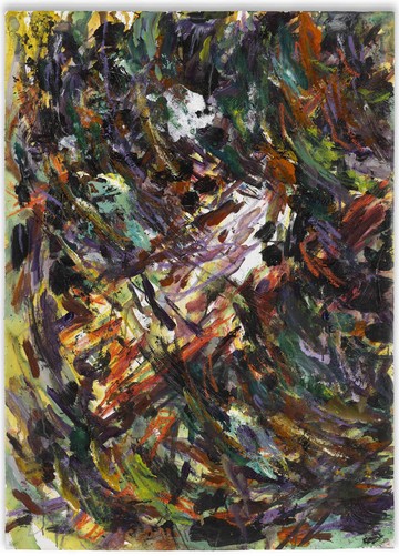 Guizhou Forest 0510 贵州森林 0510 - © Paris Internationale