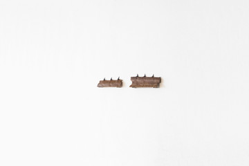 Dorsales - © Paris Internationale