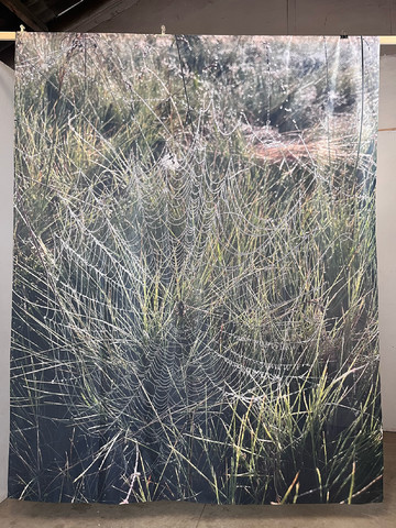 Hilar Lagrimal - © Paris Internationale