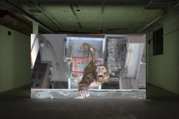 Clima007 - © Paris Internationale