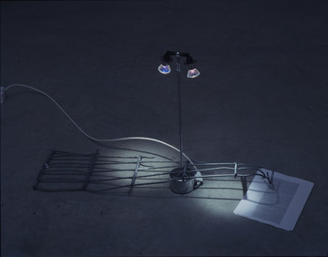 Untiled paperweight..Why doesn&rsquo;t my plant grow anymore - © Paris Internationale