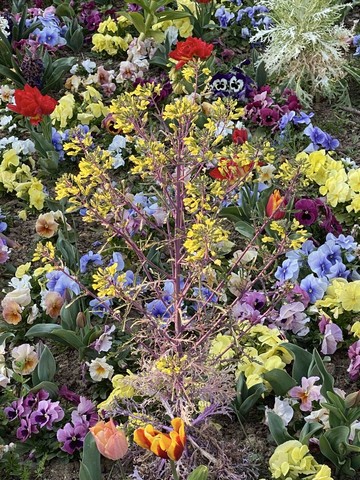 Jardin Villemin, 2021 - © Paris Internationale