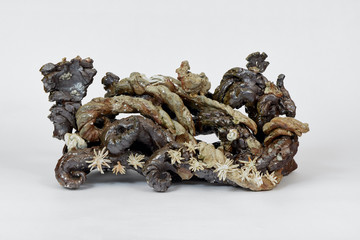 Caterpillar Engine 10, 2023 - © Paris Internationale