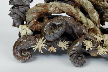 Caterpillar Engine 10, 2023 - © Paris Internationale