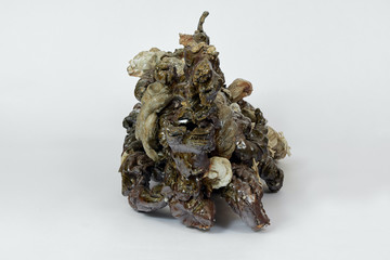 Caterpillar Engine 10, 2023 - © Paris Internationale