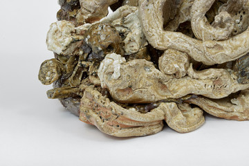 Untitled, 2023 - © Paris Internationale