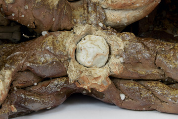 Untitled, 2023 - © Paris Internationale