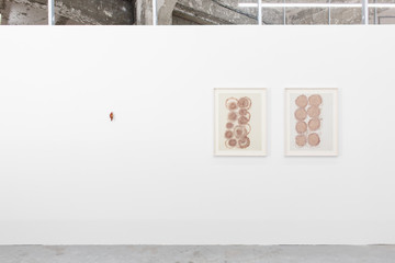 Lombardi—Kargl - © Paris Internationale