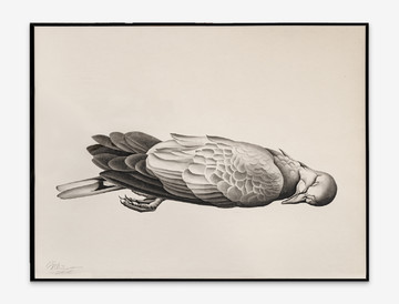 Wildlife No.20 - © Paris Internationale