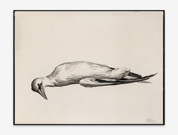 Wildlife No.21 - © Paris Internationale