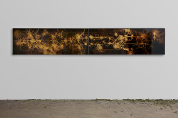 Artwork by Jura Shust, Untitled (diptych), made of spruce wood, resin, black soil, stainless steel - © Courtesy of the artist and Management, New York., Paris Internationale