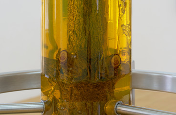 Sculpture by Jura Shust titled Leaving an Annual Growth at the Top, 2024 - © Photo: Guillaume Python., Paris Internationale