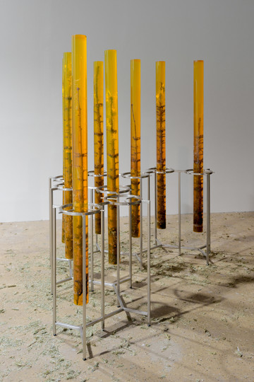 Leaving an Annual Growth at the Top: Succession - © Paris Internationale