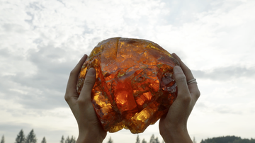 Neophyte III: On the Eve of the Shortest Night - © Paris Internationale