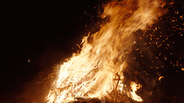 Neophyte III: On the Eve of the Shortest Night - © Paris Internationale