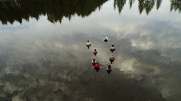 Neophyte III: On the Eve of the Shortest Night - © Paris Internationale