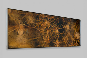 Untitled - © Paris Internationale