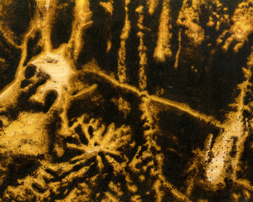 Walking, knocking on the roots, and shaking the spruce paws #8 - © Paris Internationale