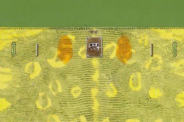 Lizard - © Paris Internationale