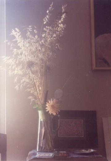 George Tourkovasilis, Untitled [Chrysanthemum Still Life], C-Print on Kodak paper, c. 1985, 9 x 12.7cm - © Courtesy The George Tourkovasilis Archive and Records, Athens, Paris Internationale