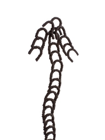 Turnus - © Paris Internationale