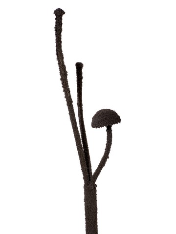 Turnus - © Paris Internationale