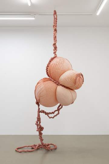 Eva Fàbregas, Exudate 73 (2025). Air, elastic mesh, latex. 330 x 110 x 80 cm. - © -, Paris Internationale