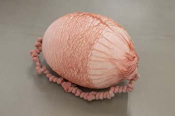 Eva Fàbregas, Exudate #81 (2025), Air, elastic mesh and latex, 47 x 50 x 35 cm - © Paris Internationale