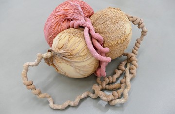 Eva Fàbregas, Exudate #83 (2025), Air, elastic mesh and latex, 37 x 55 x 57 cm - © Paris Internationale